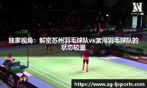 独家视角：解密苏州羽毛球队vs漯河羽毛球队的状态较量